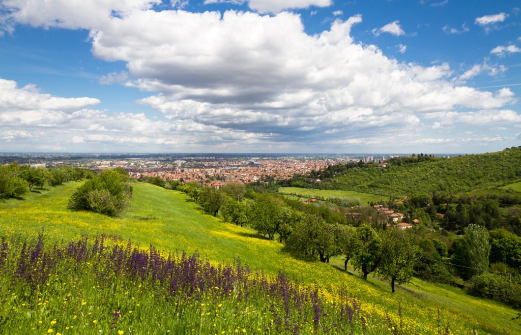 Picnic a Bologna